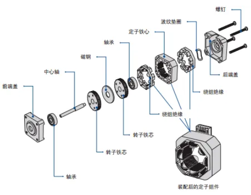 步进电机内部构造图